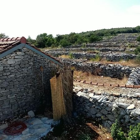 코츌라 Pirate'S Nest Stone House 게스트하우스 객실 사진
