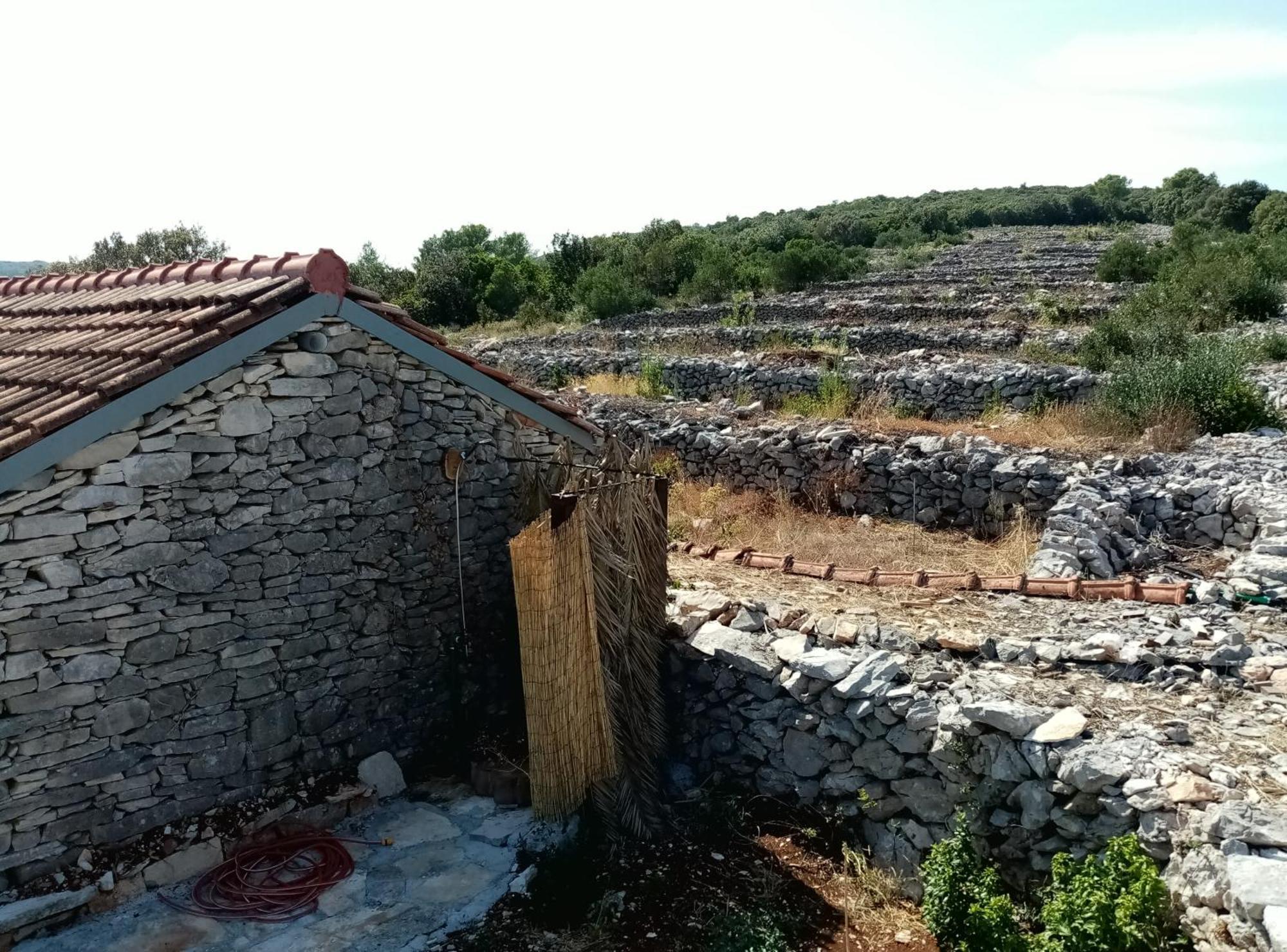 코츌라 Pirate'S Nest Stone House 게스트하우스 객실 사진